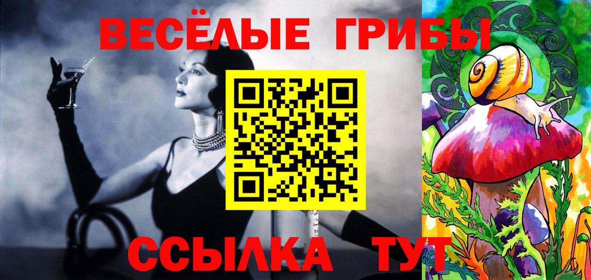 Галлюциногенные грибы MAGIC MUSHROOMS  Вход с VPN  где купить наркоту  Борзя  Галлюциногенные грибы Psilocybe 